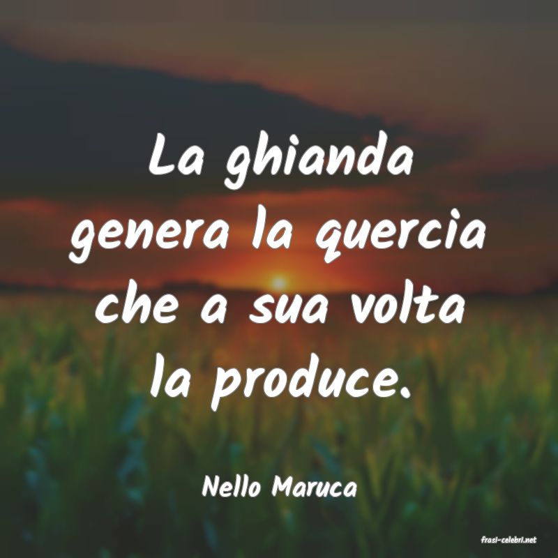 frasi di  Nello Maruca
