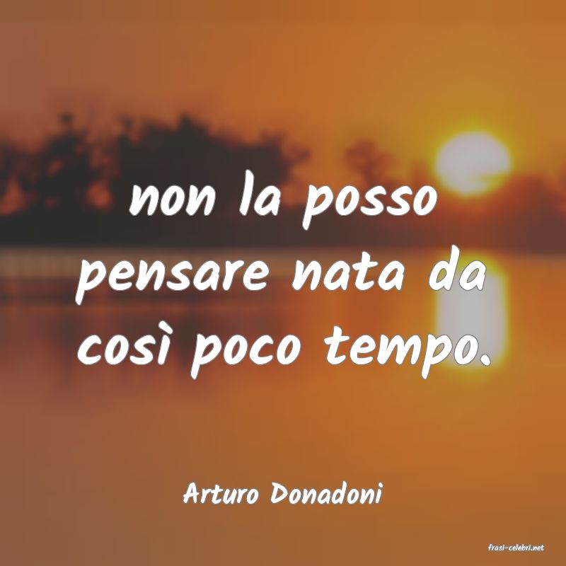 frasi di  Arturo Donadoni
