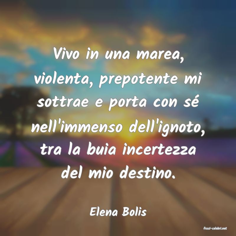 frasi di Elena Bolis