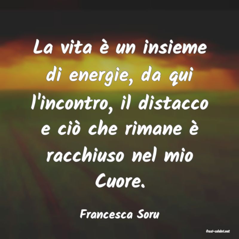 frasi di Francesca Soru