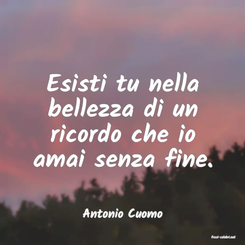 frasi di  Antonio Cuomo
