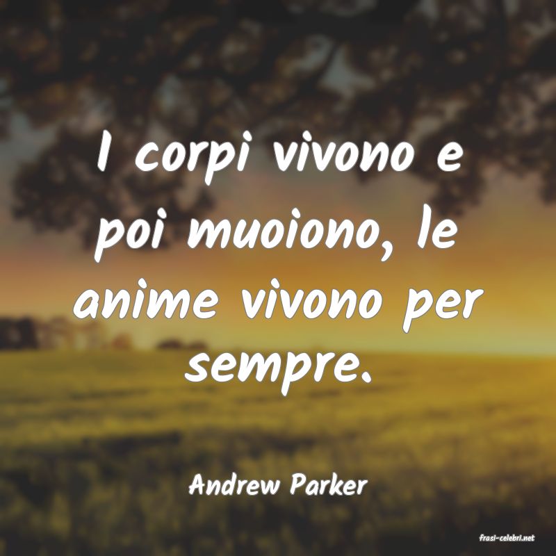 frasi di  Andrew Parker
