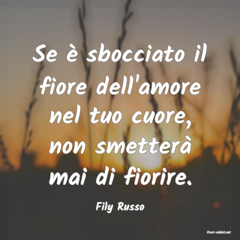frasi di  Fily Russo
