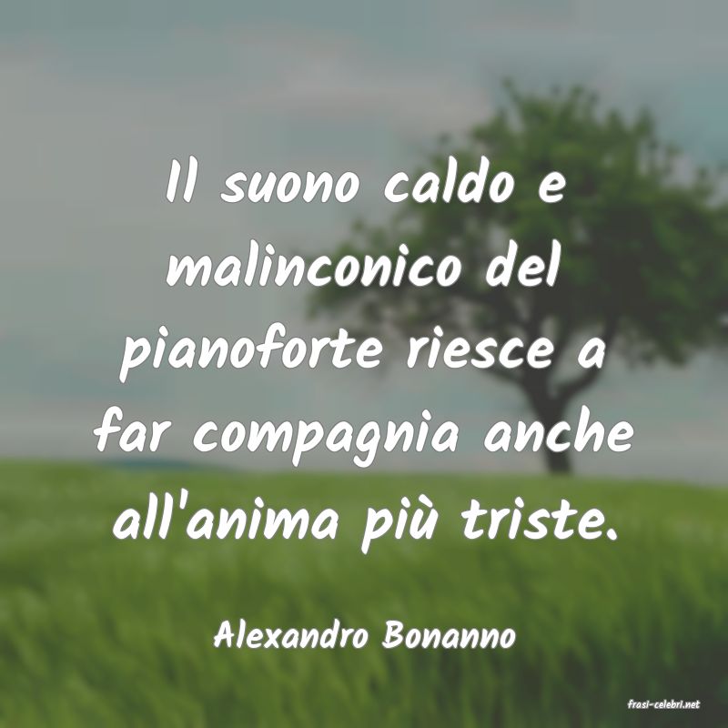 frasi di  Alexandro Bonanno
