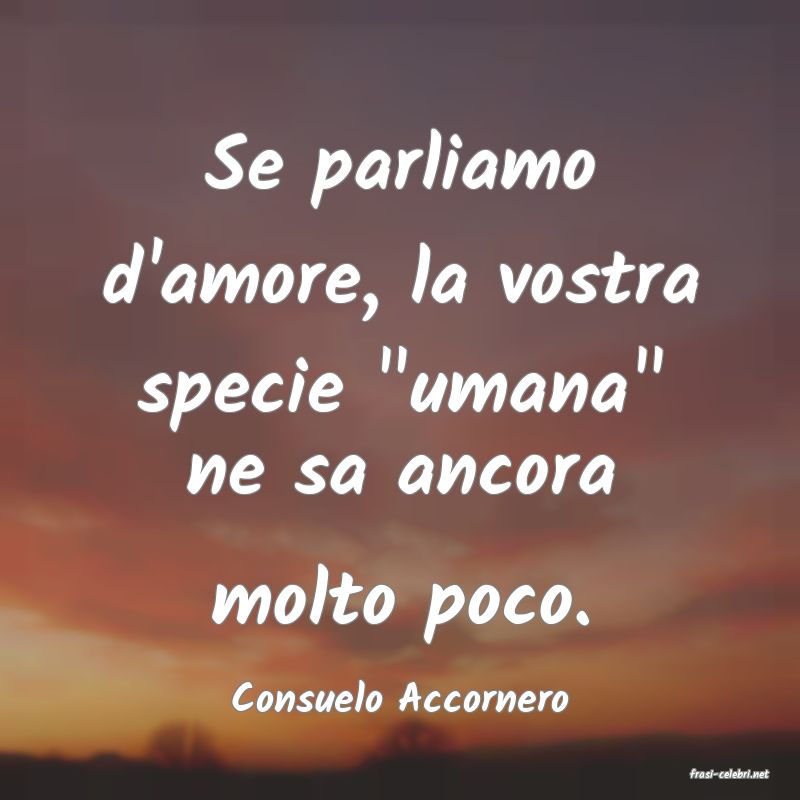 frasi di  Consuelo Accornero
