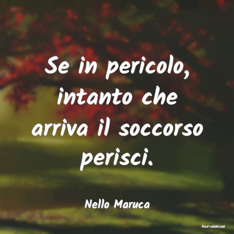 frasi di  Nello Maruca
