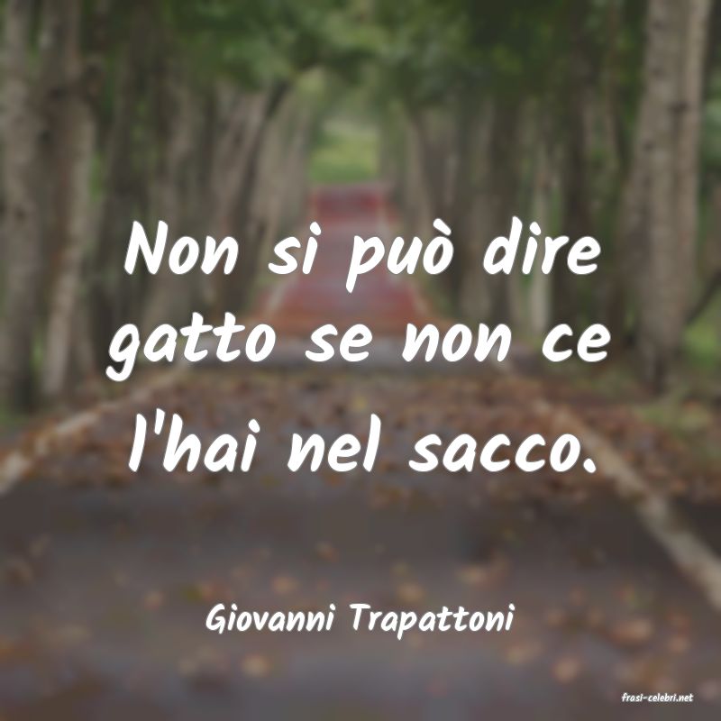frasi di  Giovanni Trapattoni
