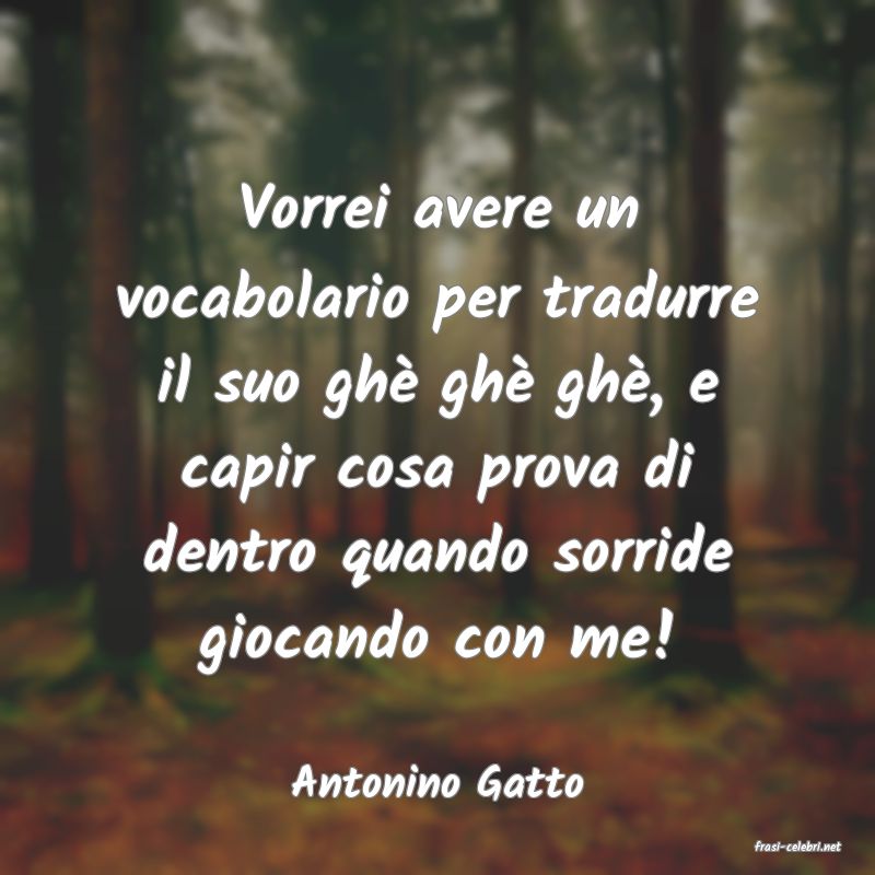 frasi di Antonino Gatto
