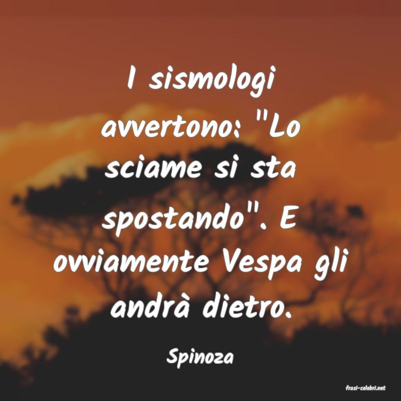 frasi di Spinoza