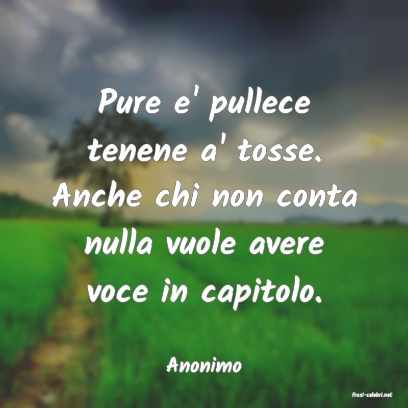 frasi di Anonimo