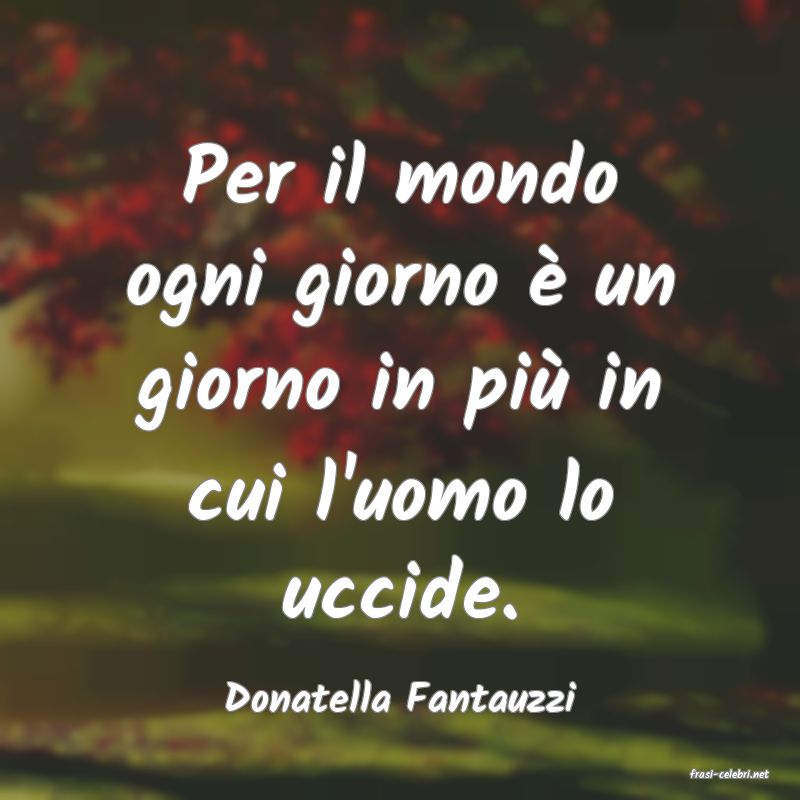 frasi di  Donatella Fantauzzi
