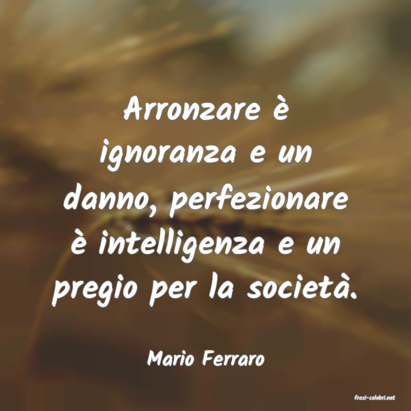 frasi di  Mario Ferraro
