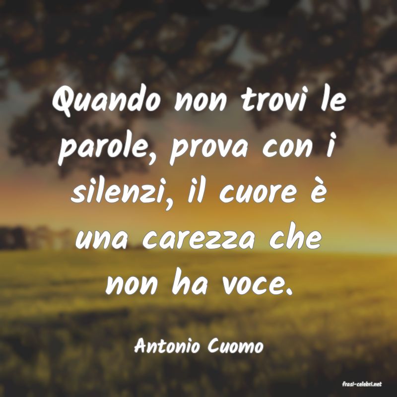 frasi di  Antonio Cuomo
