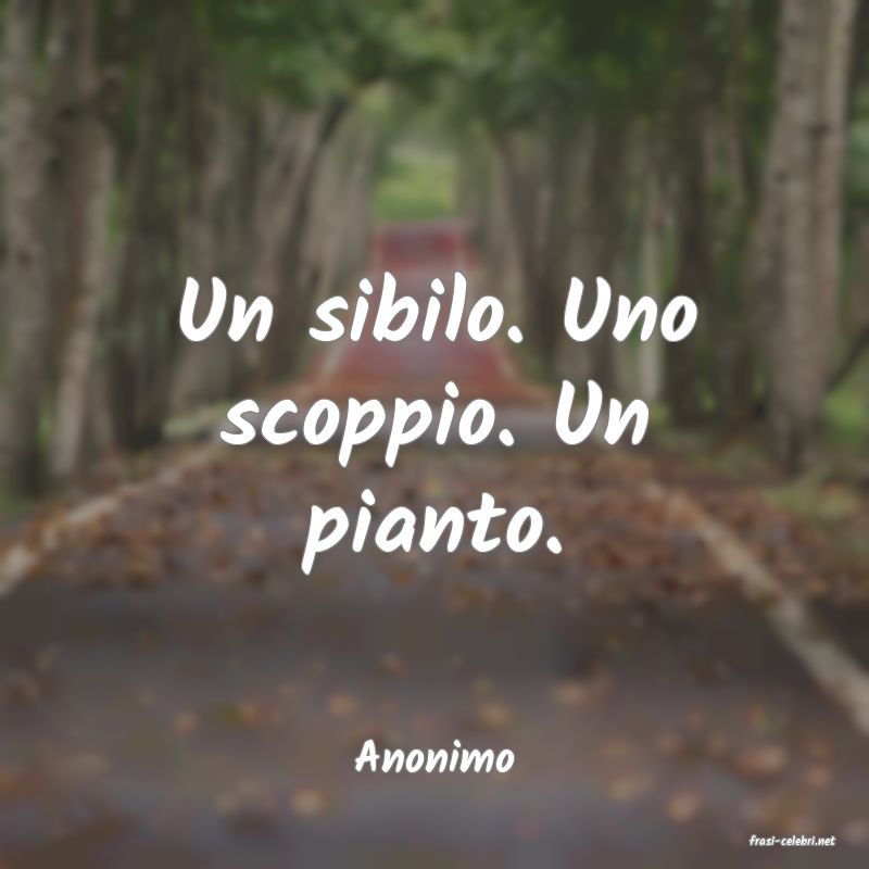frasi di  Anonimo
