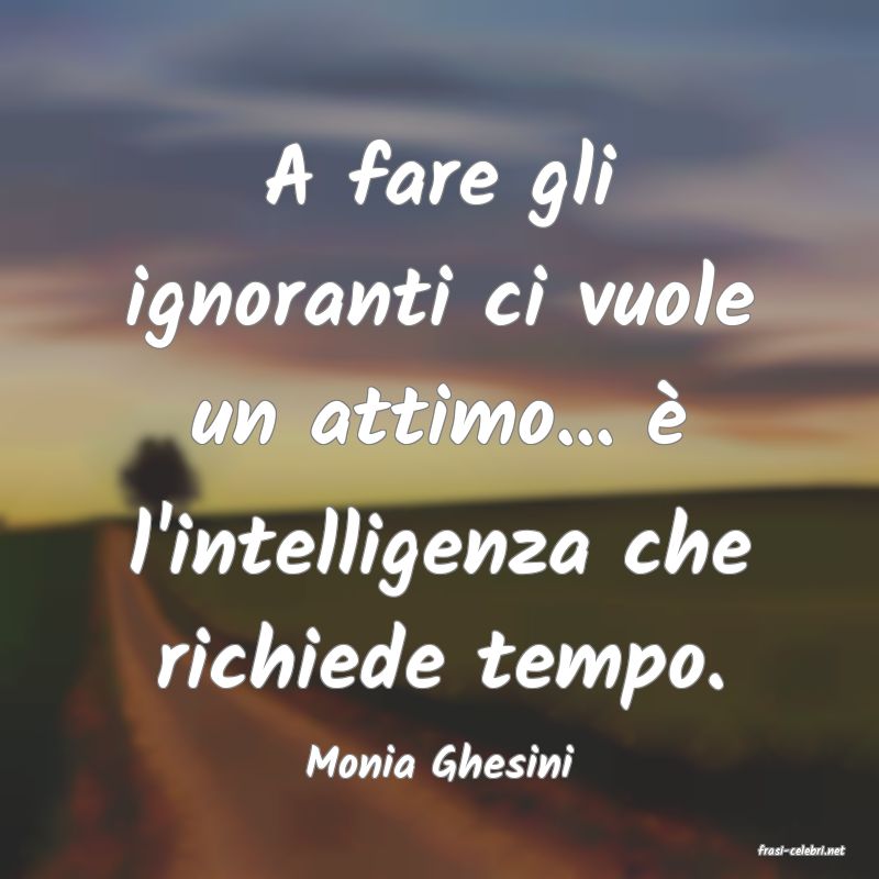 frasi di  Monia Ghesini
