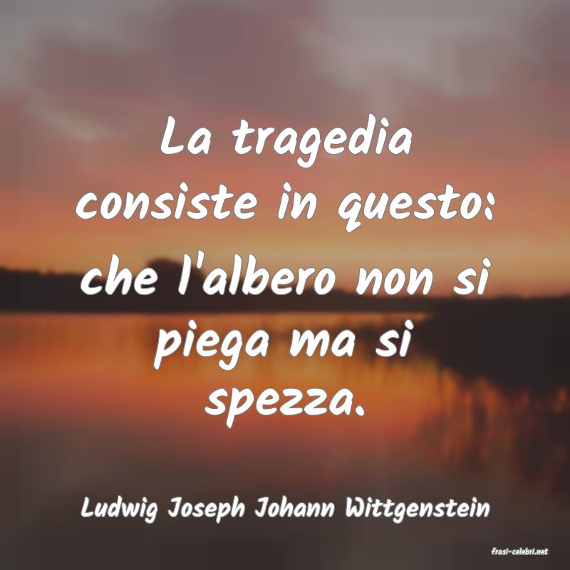 frasi di Ludwig Joseph Johann Wittgenstein