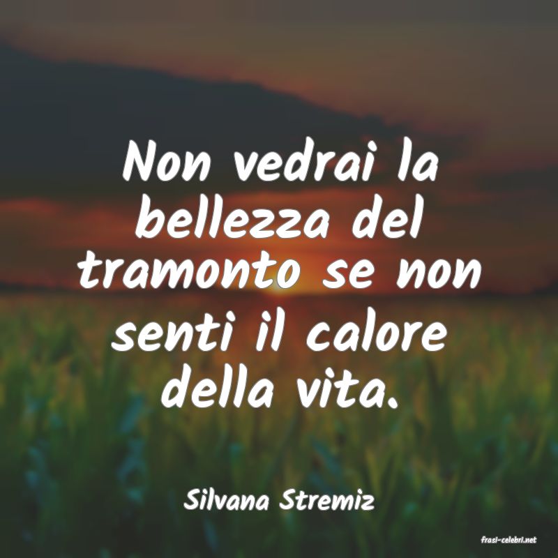 frasi di Silvana Stremiz