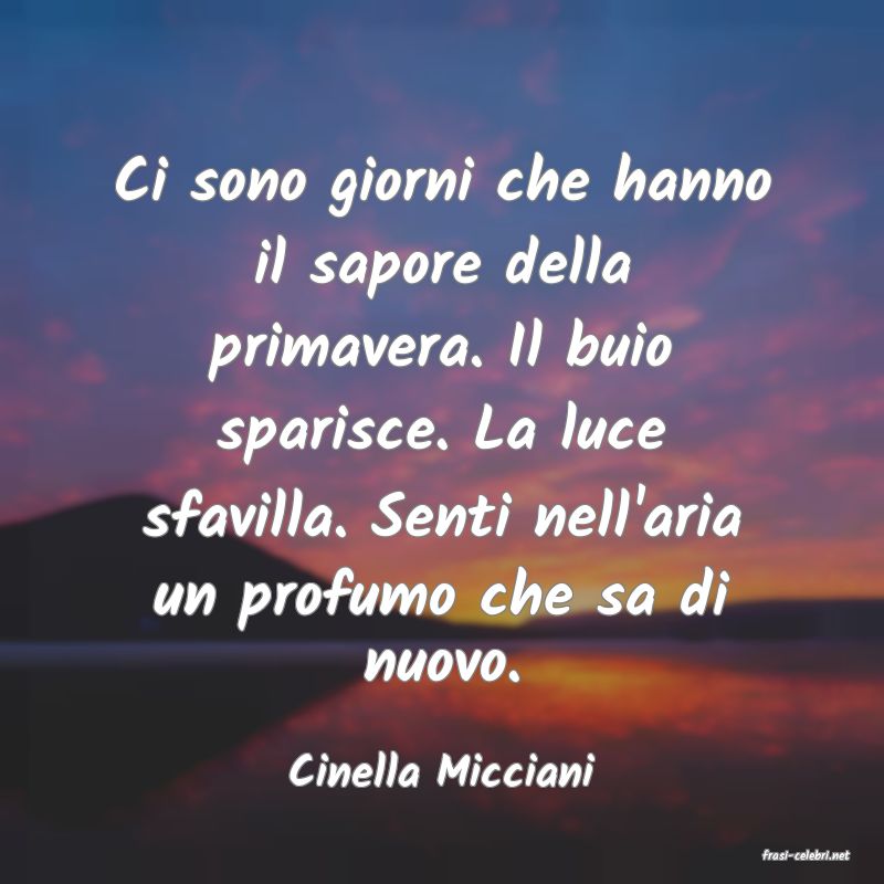 frasi di  Cinella Micciani
