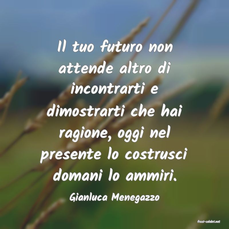 frasi di  Gianluca Menegazzo
