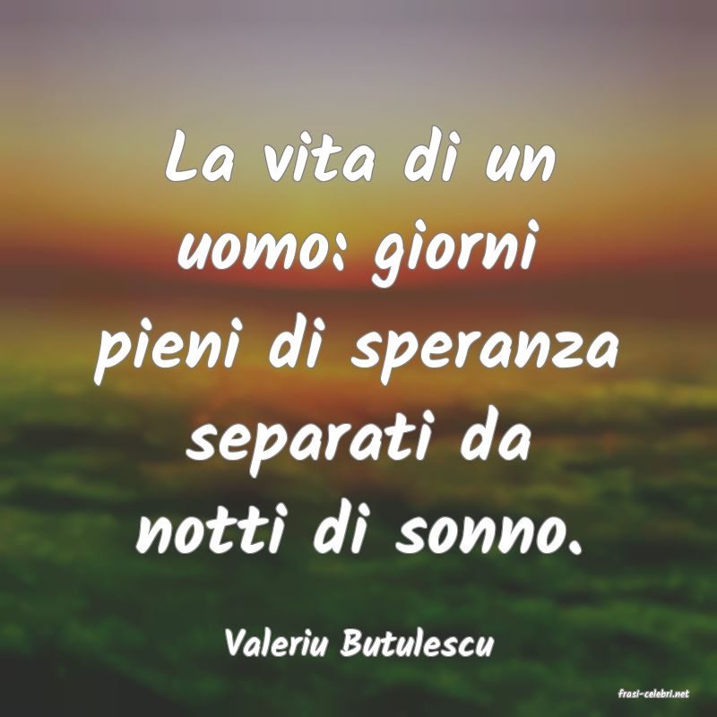 frasi di Valeriu Butulescu