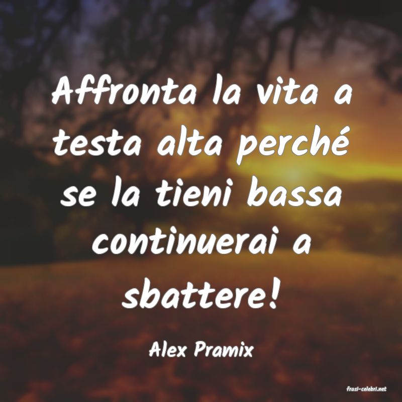 frasi di  Alex Pramix
