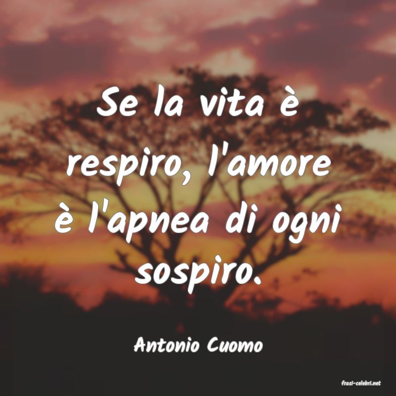 frasi di  Antonio Cuomo
