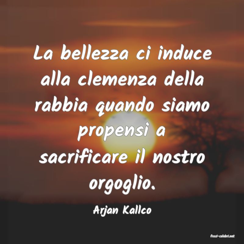 frasi di  Arjan Kallco
