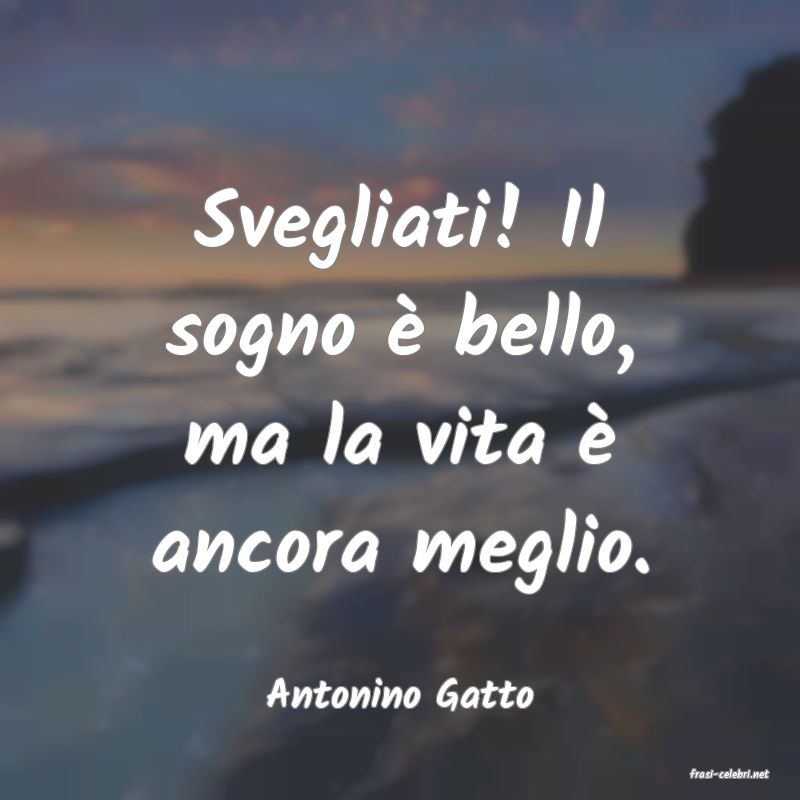 frasi di  Antonino Gatto
