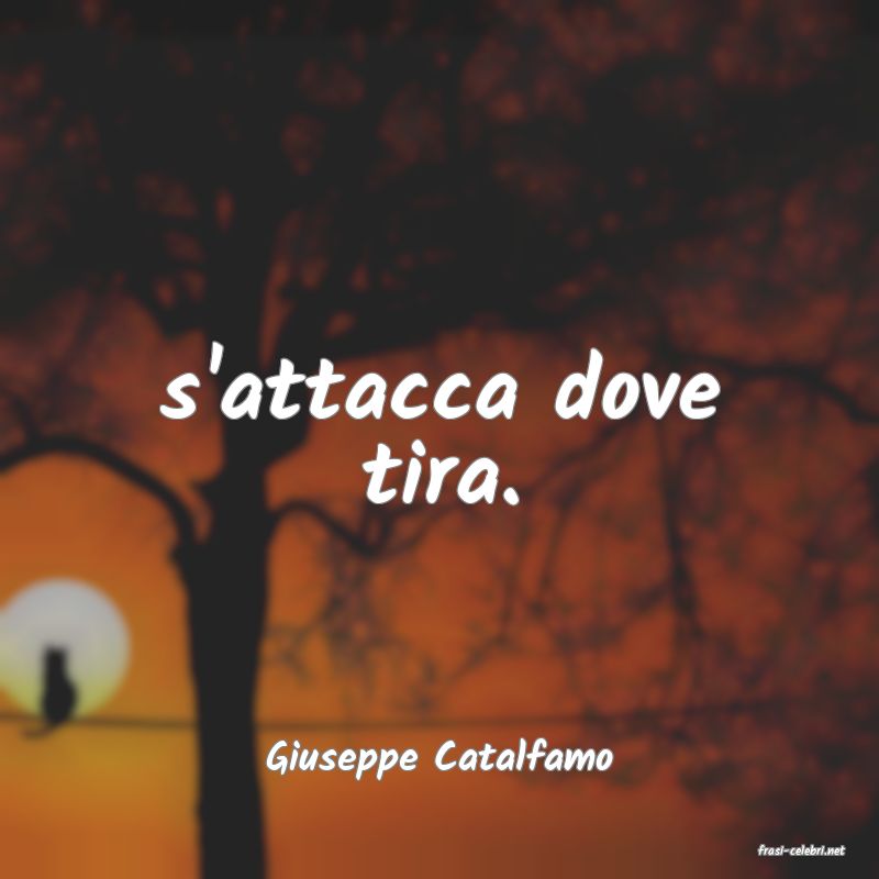 frasi di  Giuseppe Catalfamo
