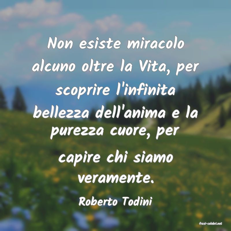 frasi di  Roberto Todini
