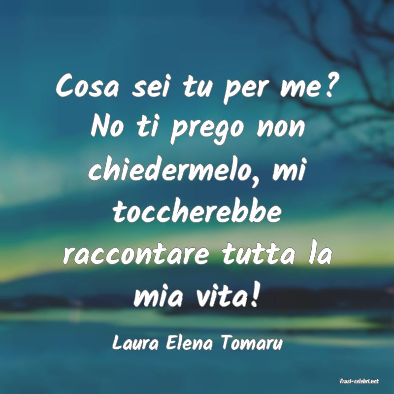 frasi di  Laura Elena Tomaru
