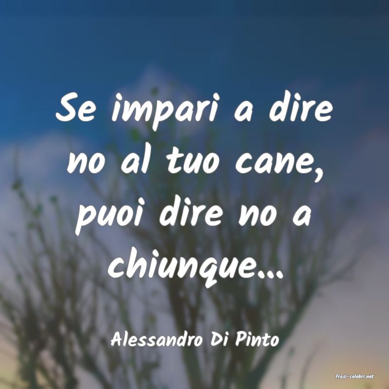 frasi di  Alessandro Di Pinto
