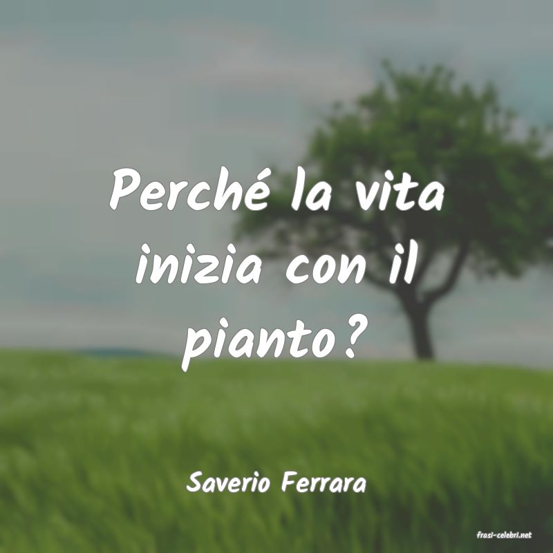 frasi di  Saverio Ferrara
