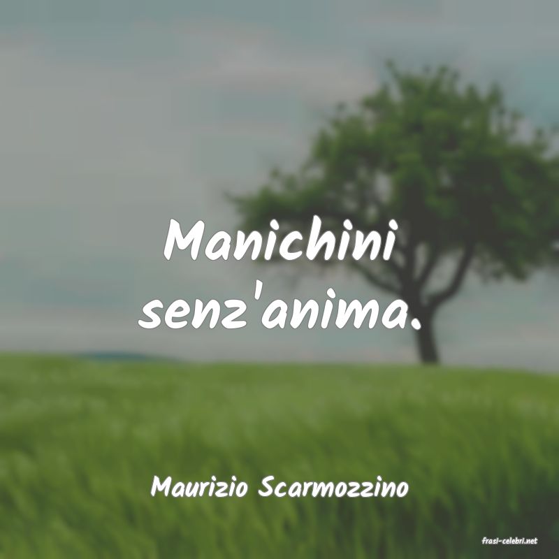 frasi di  Maurizio Scarmozzino
