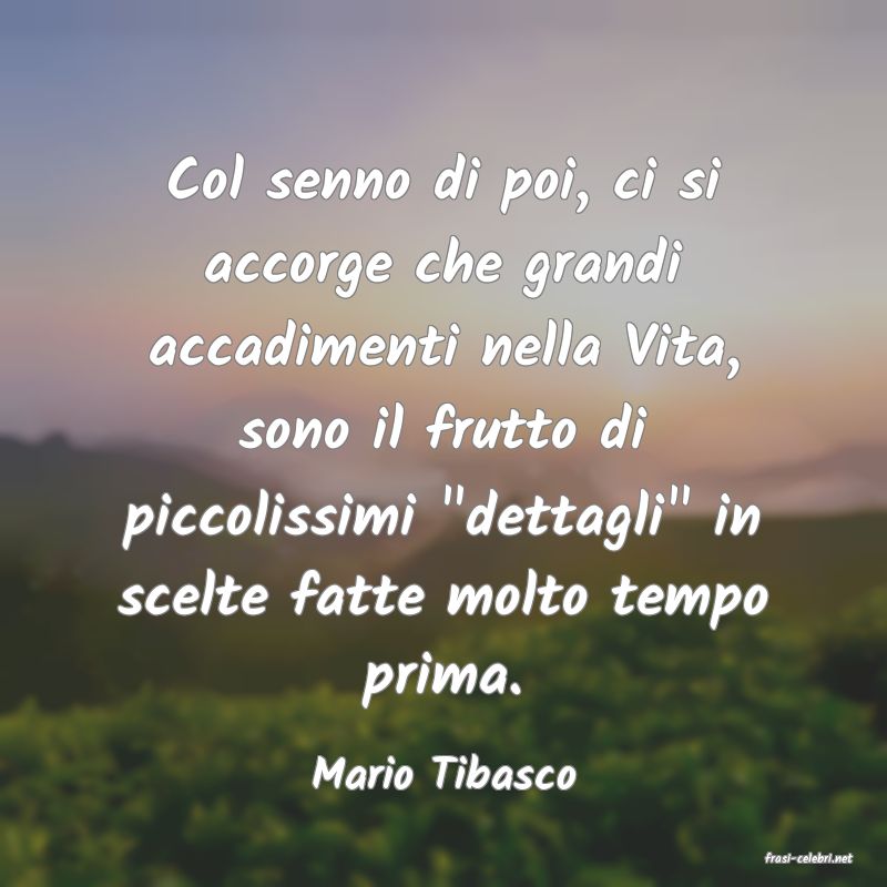frasi di  Mario Tibasco
