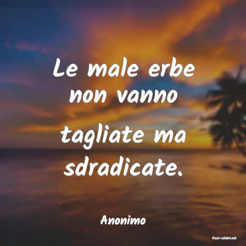 frasi di Anonimo