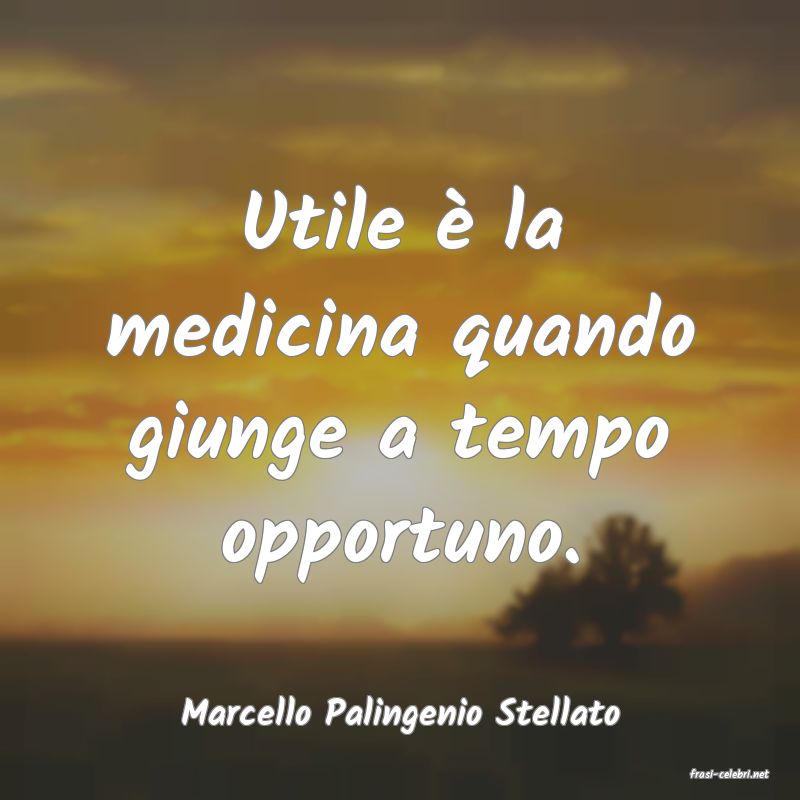 frasi di Marcello Palingenio Stellato