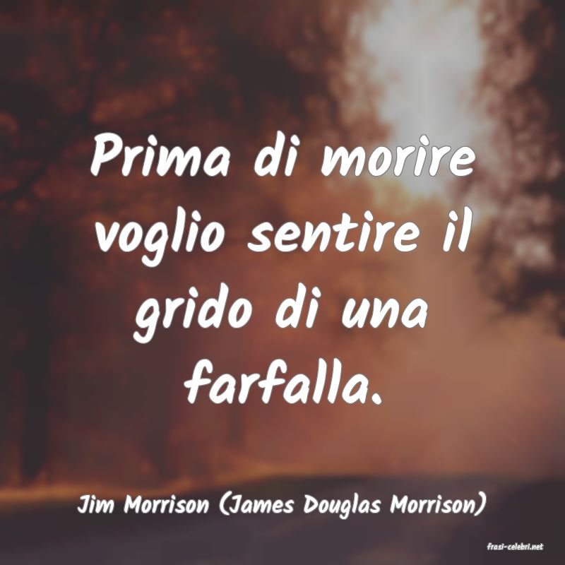 frasi di Jim Morrison (James Douglas Morrison)