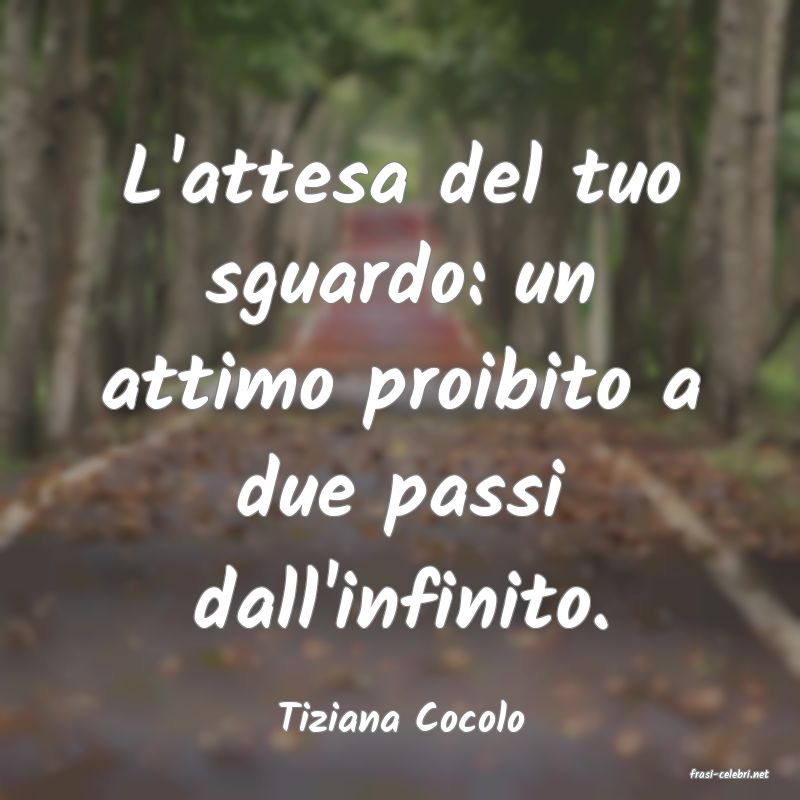 frasi di Tiziana Cocolo