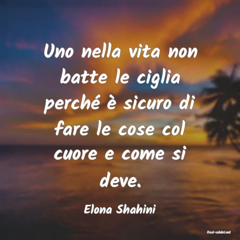 frasi di  Elona Shahini

