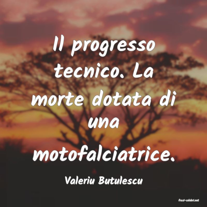 frasi di  Valeriu Butulescu
