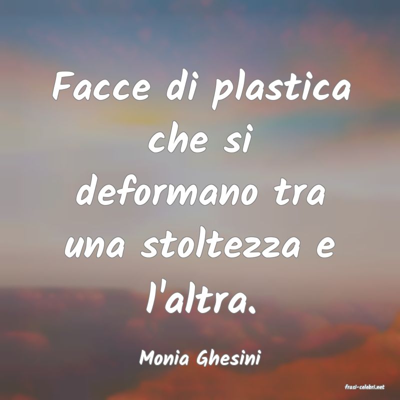 frasi di Monia Ghesini