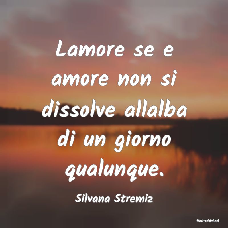 frasi di  Silvana Stremiz
