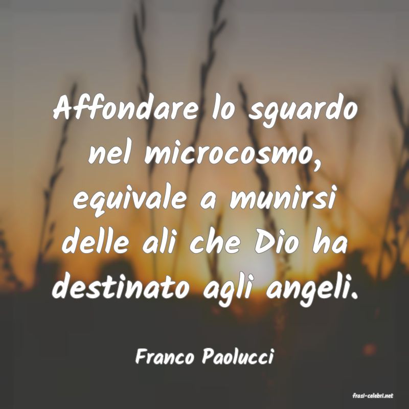 frasi di  Franco Paolucci
