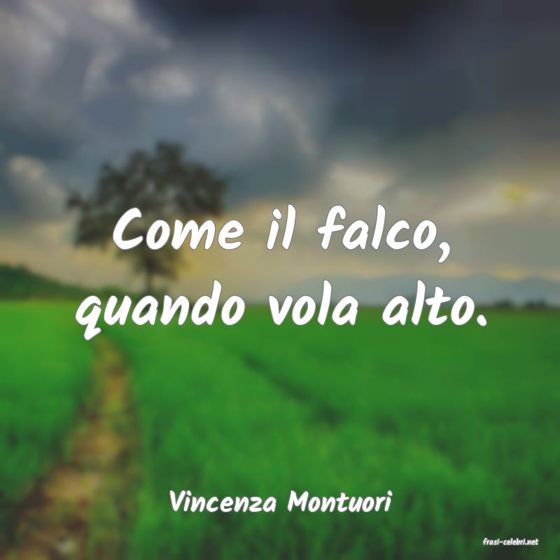 frasi di Vincenza Montuori