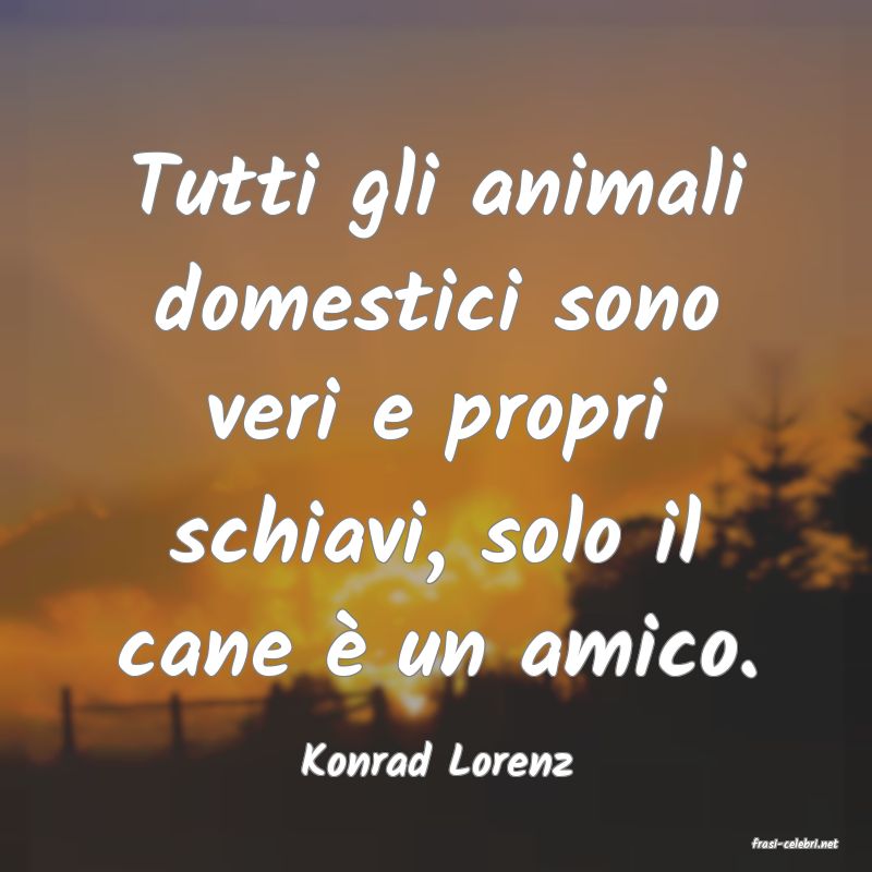 frasi di  Konrad Lorenz
