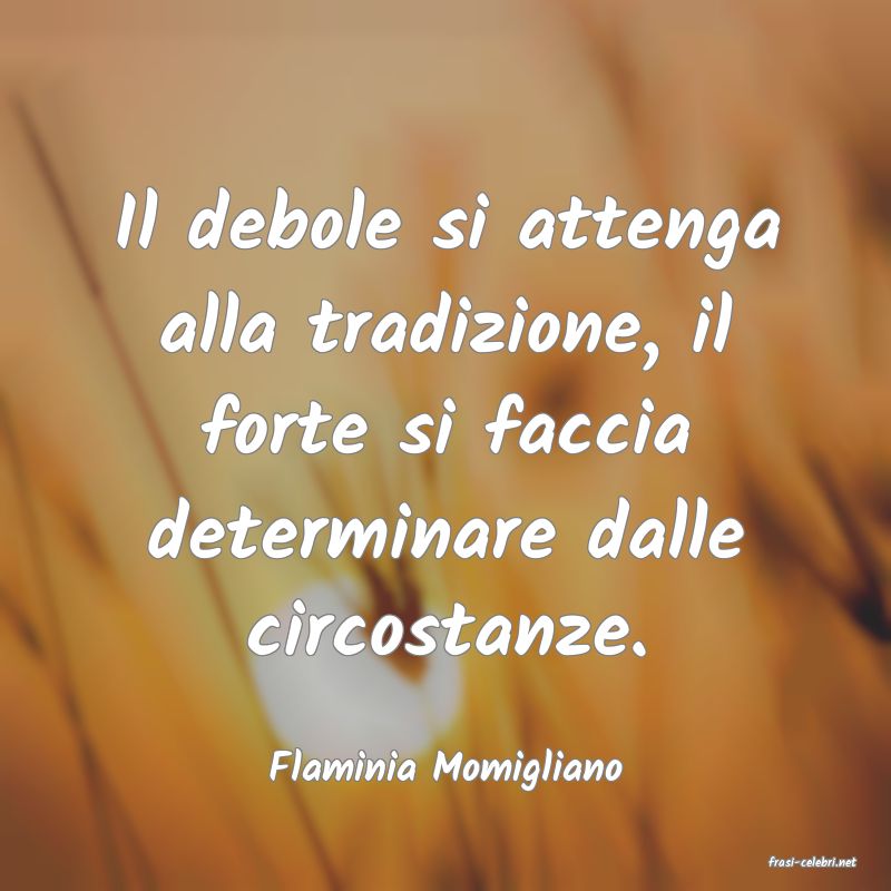 frasi di  Flaminia Momigliano

