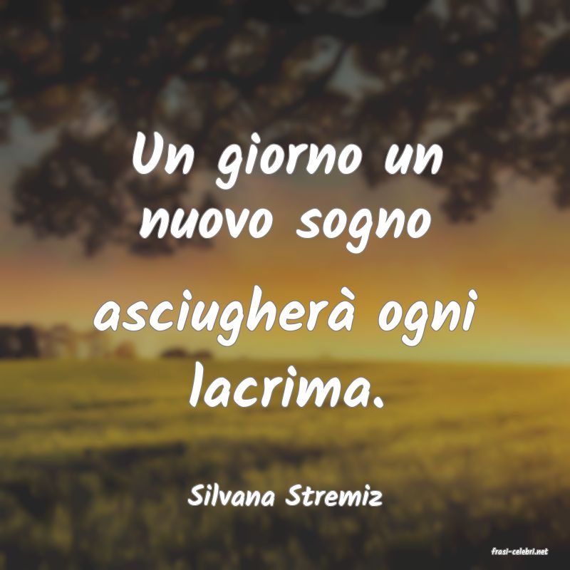 frasi di  Silvana Stremiz
