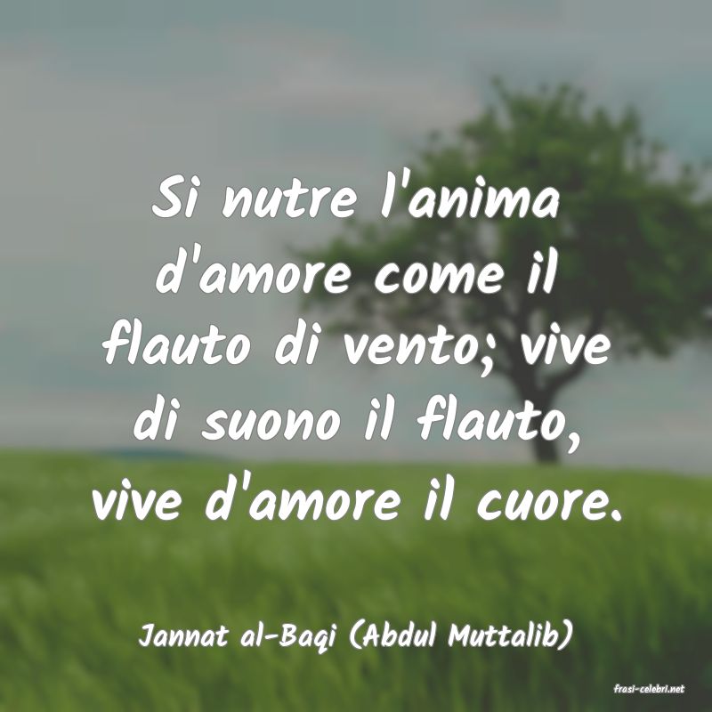 frasi di Jannat al-Baqi (Abdul Muttalib)