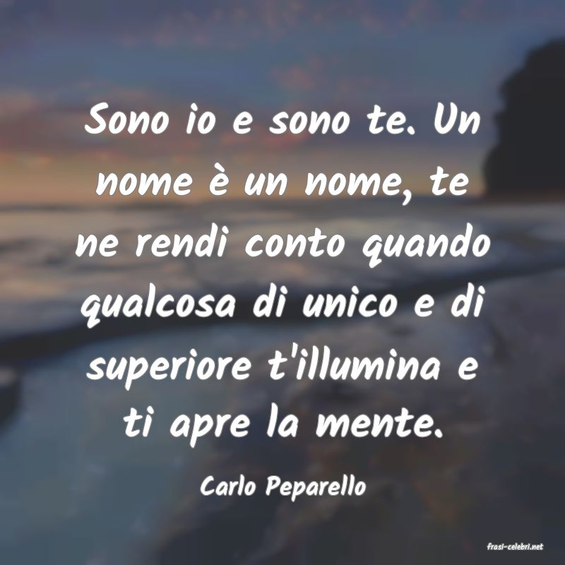 frasi di  Carlo Peparello
